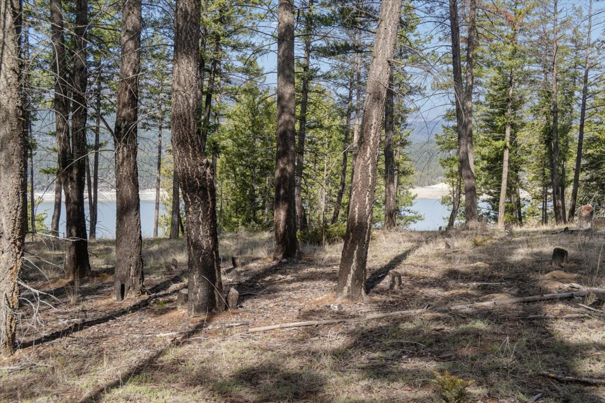 Nhn Cove Drive Property Photo 22