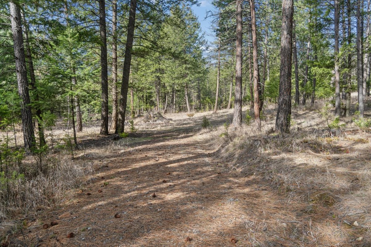 Nhn Cove Drive Property Photo 15