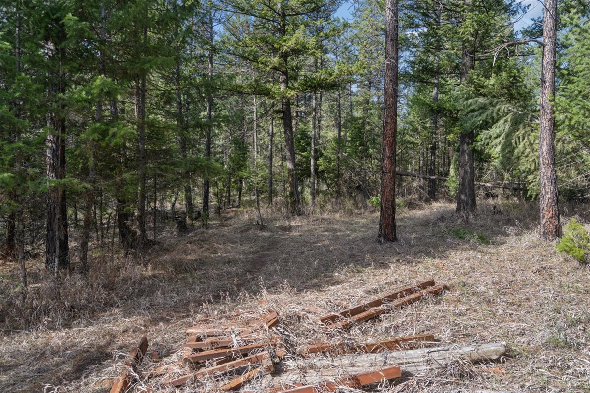 Nhn Cove Drive Property Photo 17