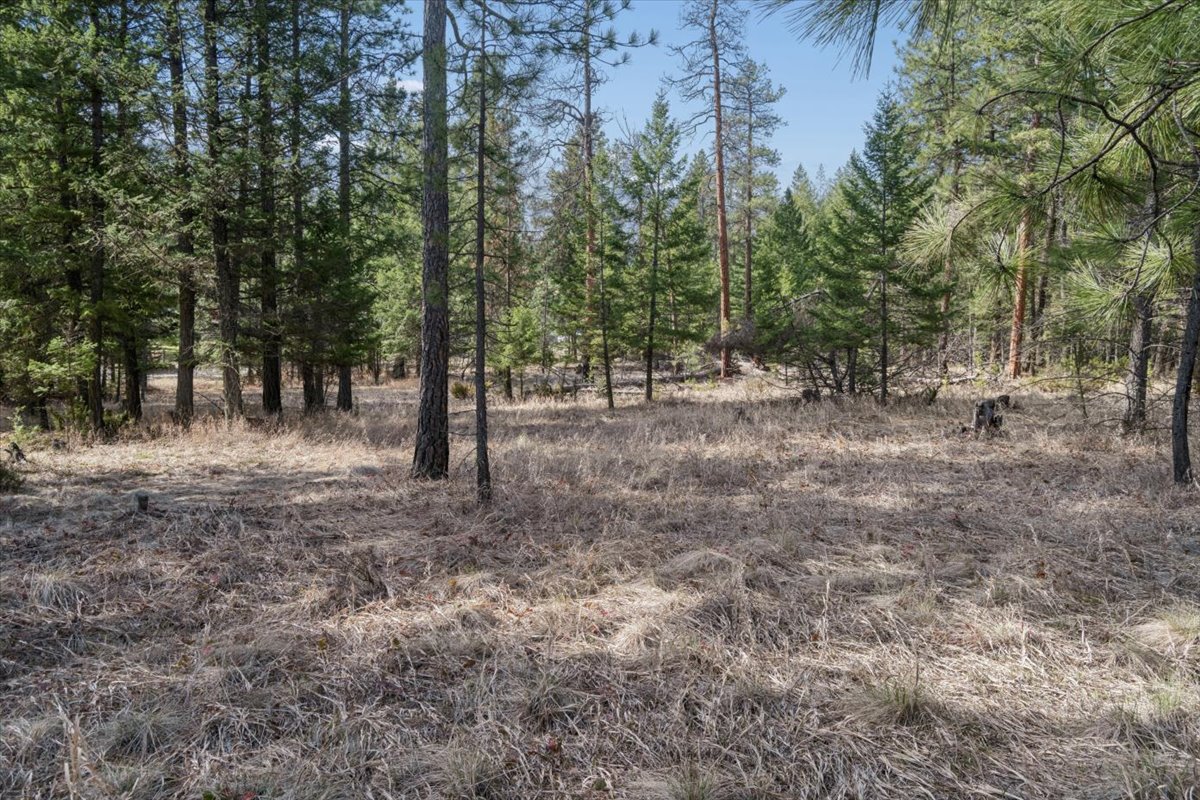 Nhn Cove Drive Property Photo 18
