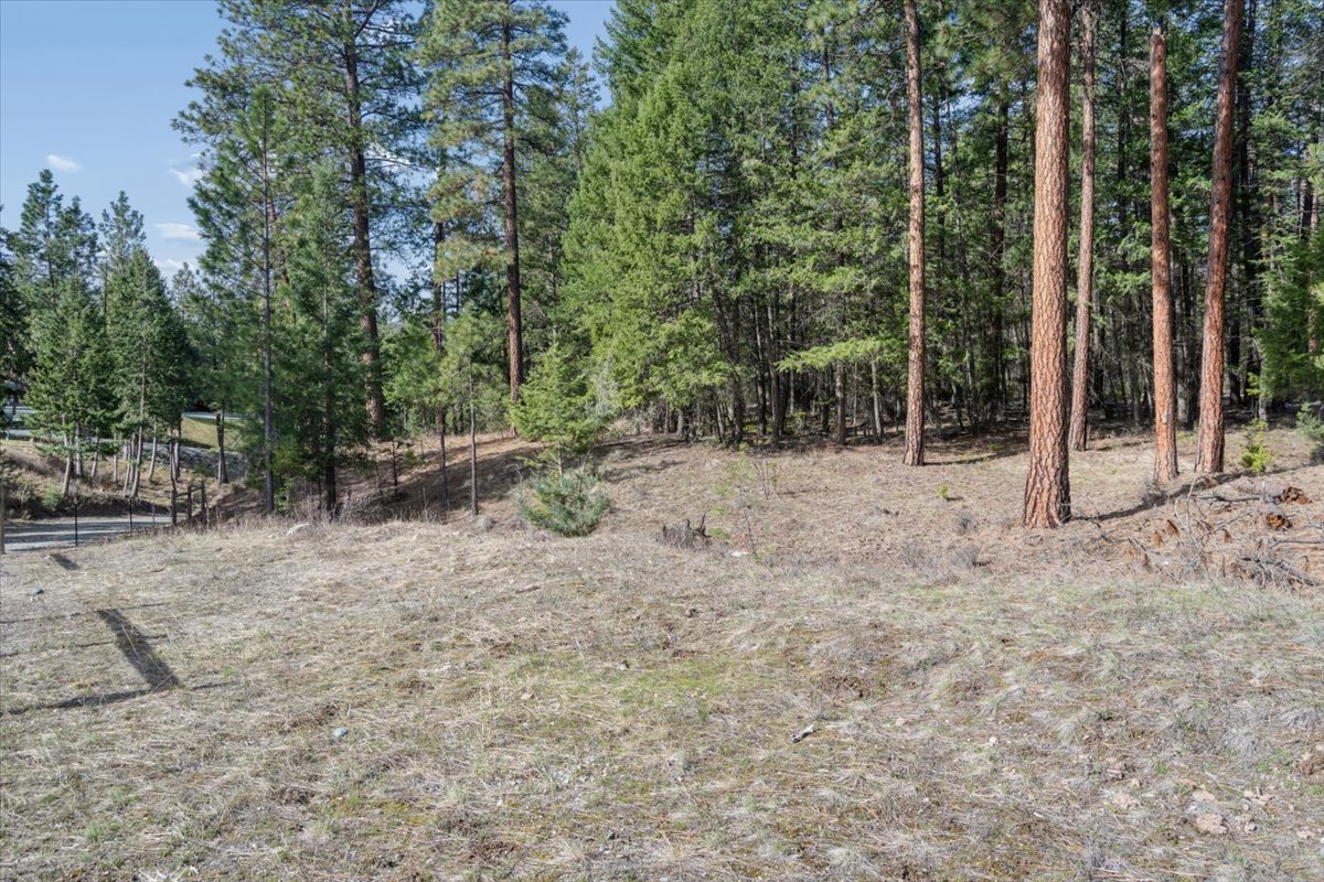 Nhn Cove Drive Property Photo 19
