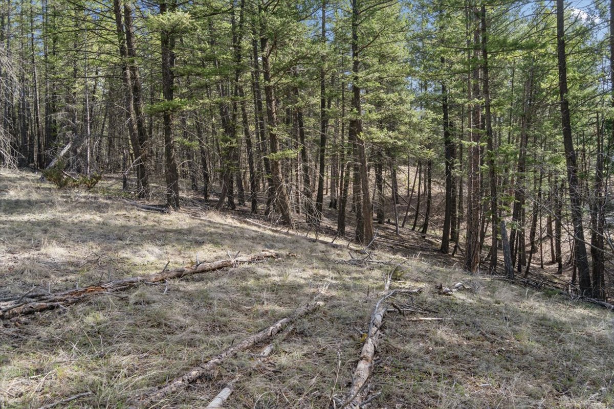 Nhn Cove Drive Property Photo 23