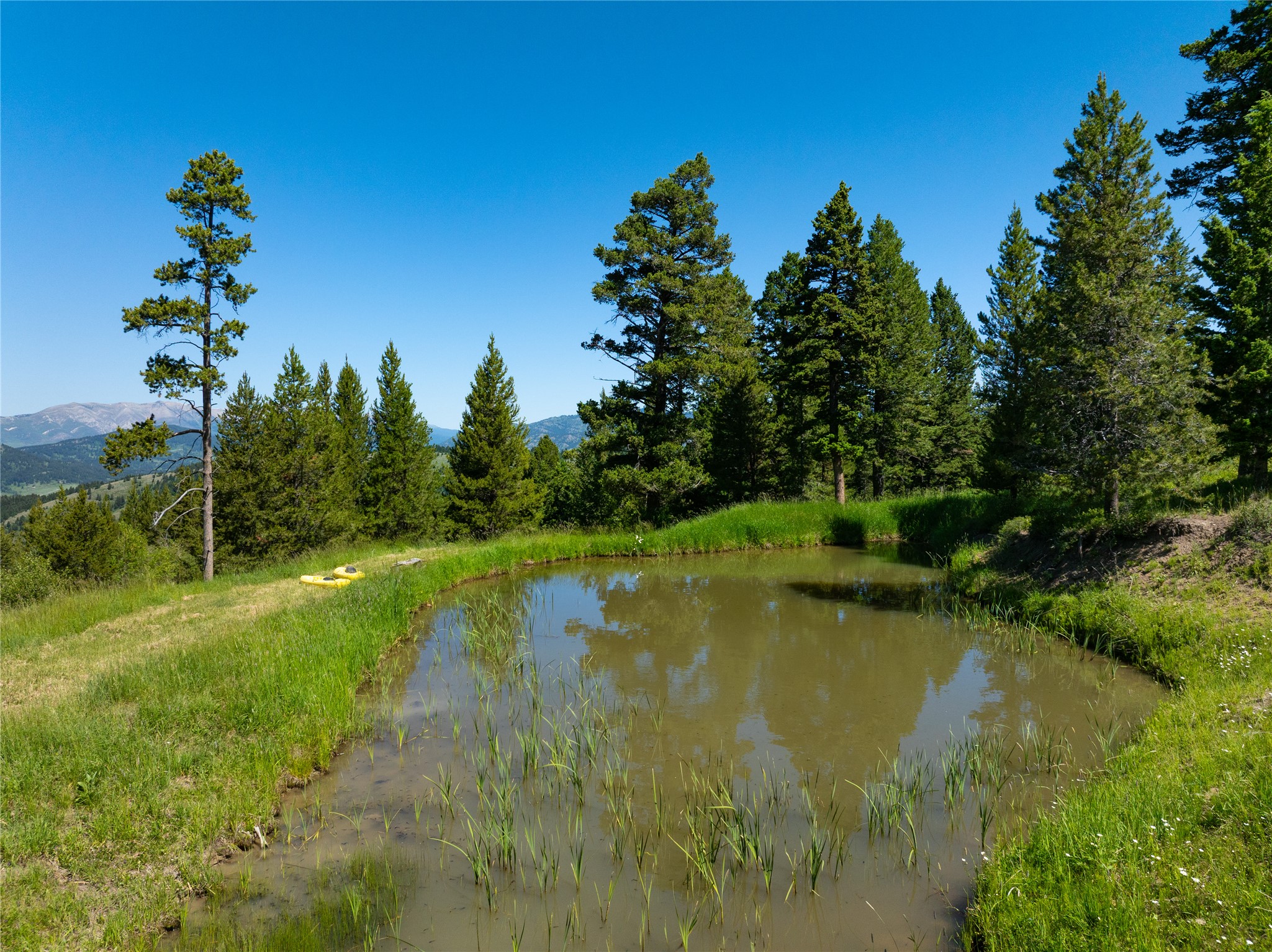 185 Peak Road Property Photo 40