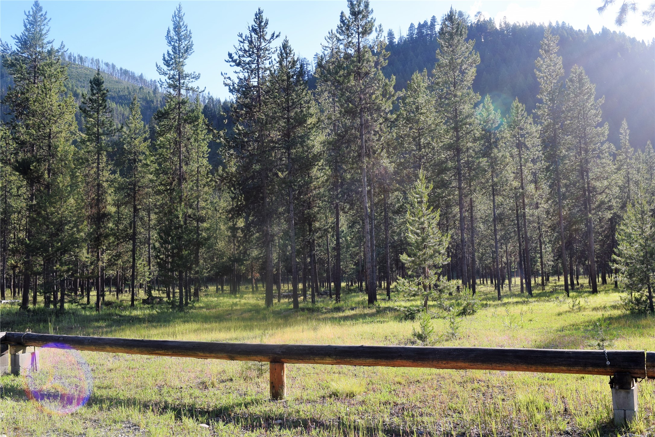 Nhn (parcel A) Deer Walk Way Property Photo 1