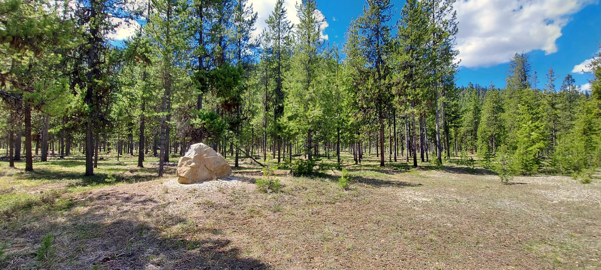 Nhn (parcel A) Deer Walk Way Property Photo 2