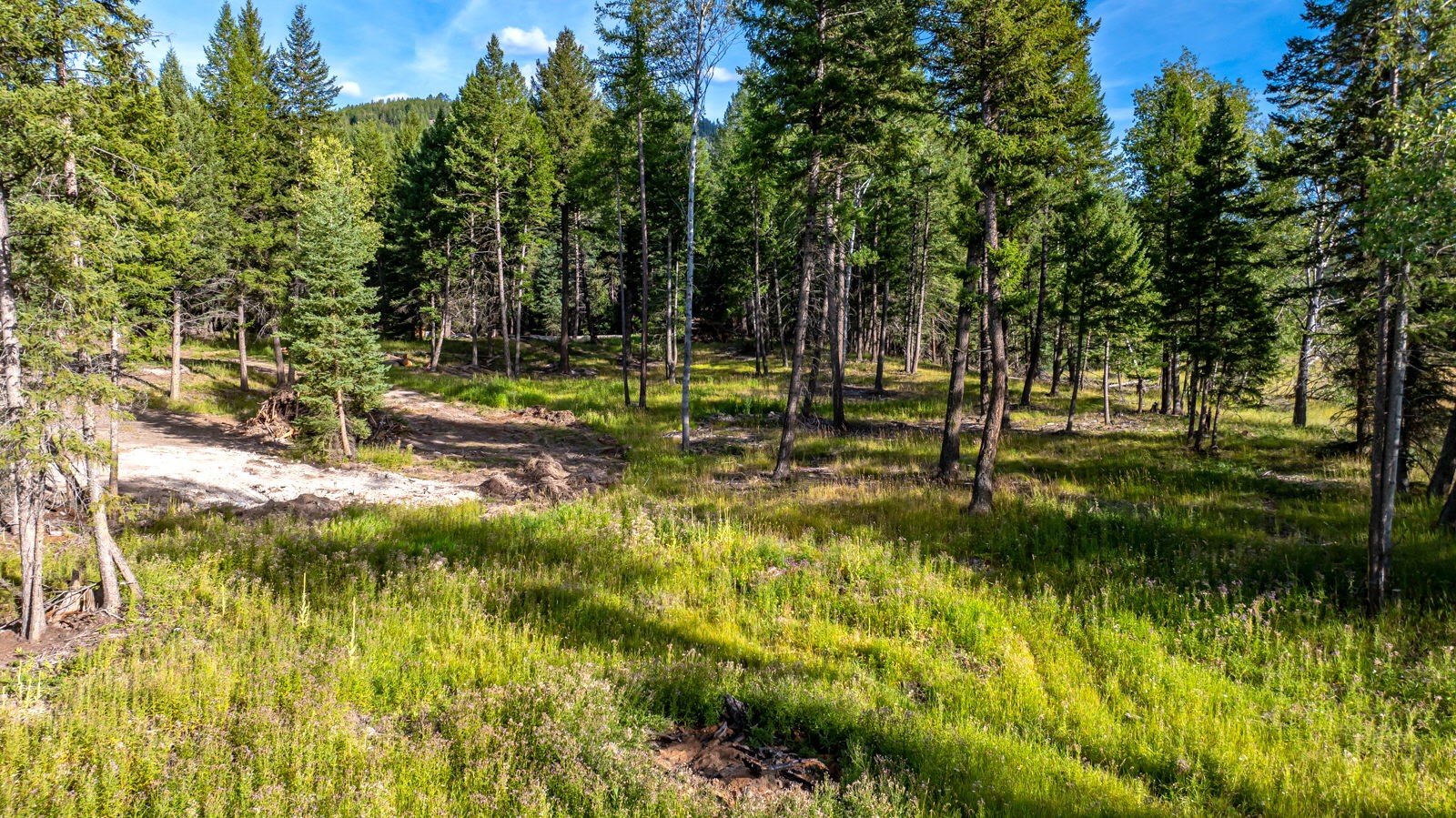1782 Truman Creek Road Property Photo 42