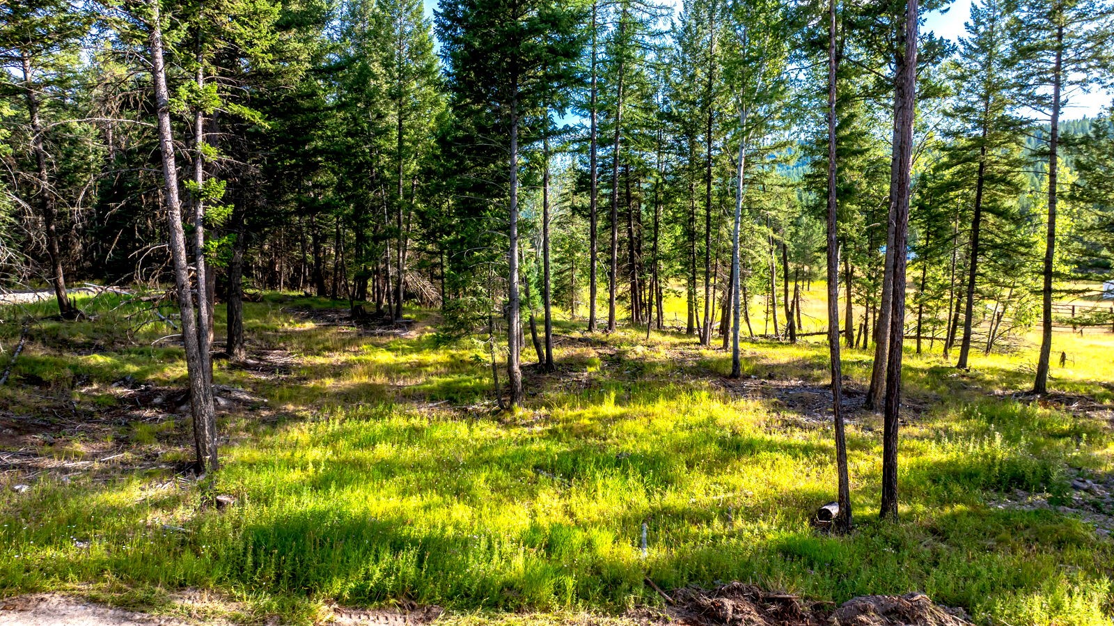 1782 Truman Creek Road Property Photo 43