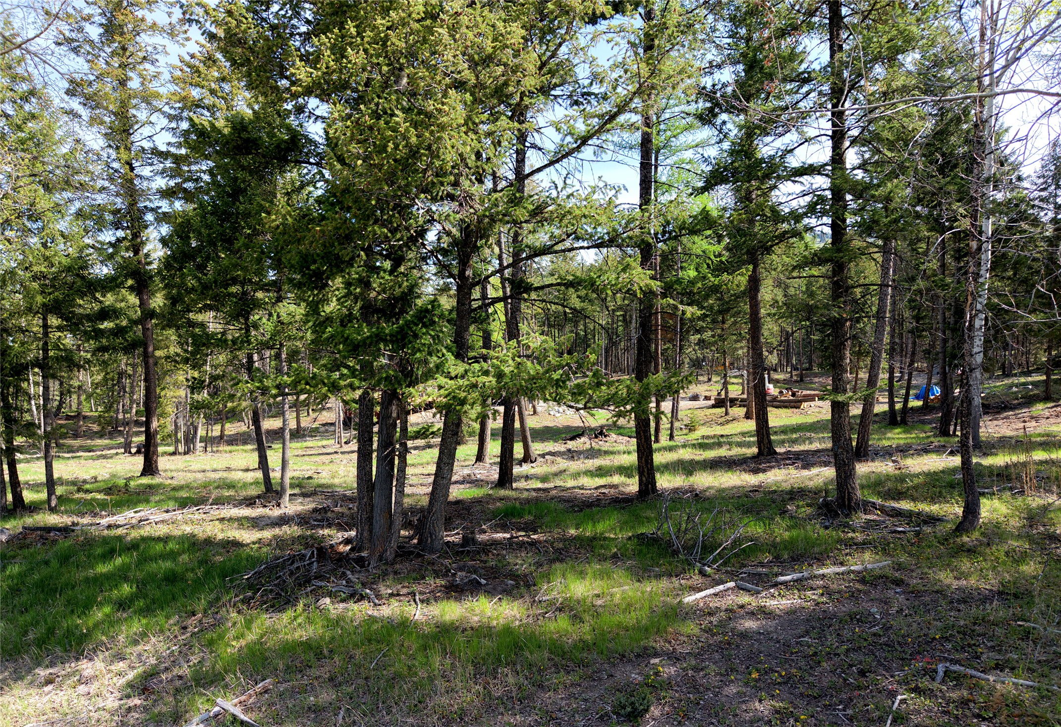 1782 Truman Creek Road Property Photo 44
