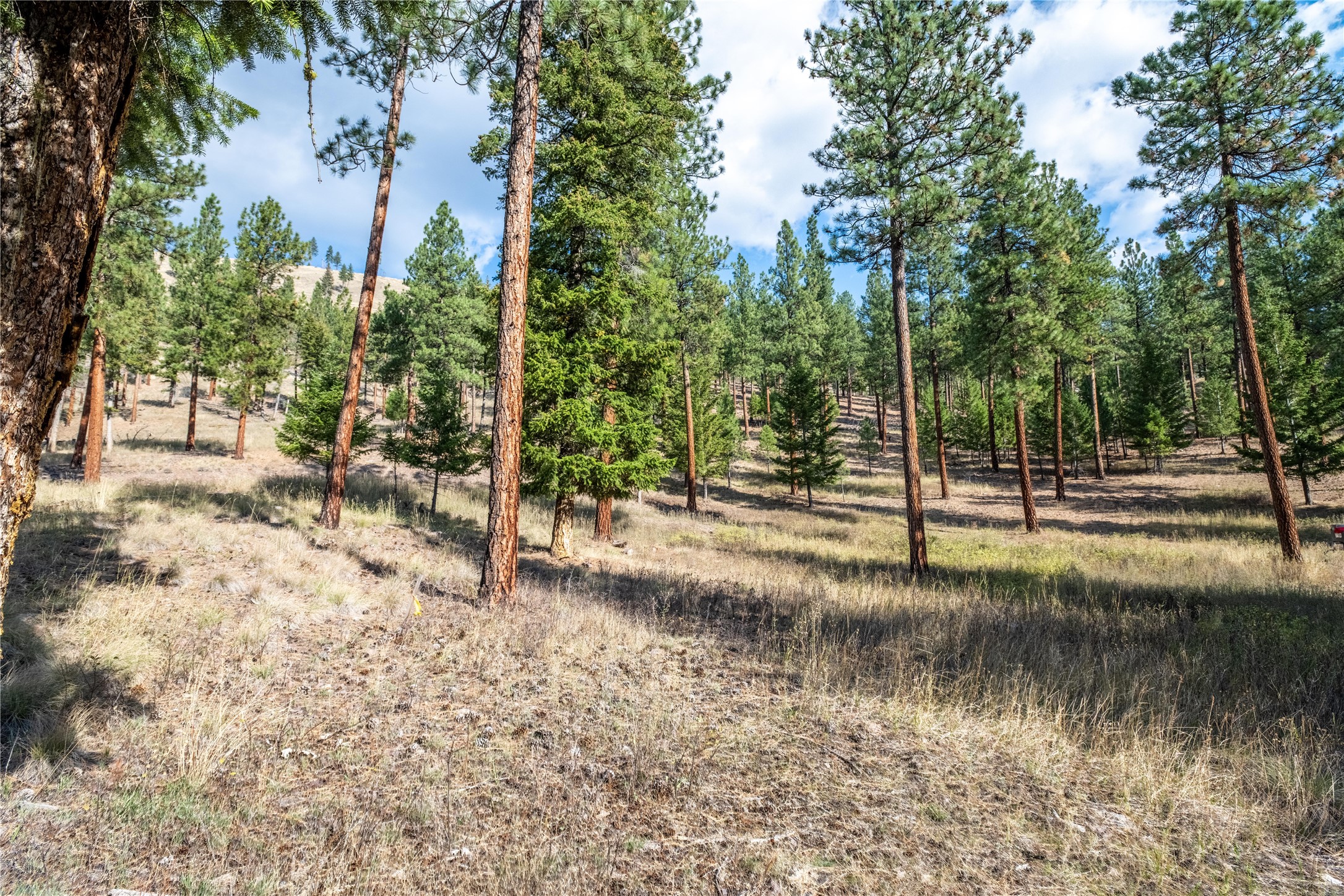 14311 Muddler Court Property Photo 4