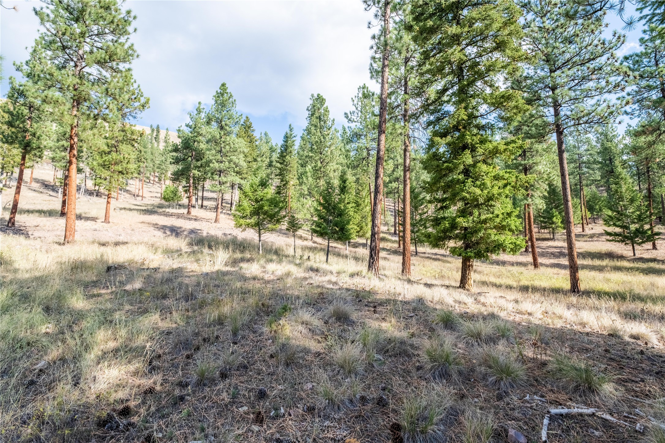 14311 Muddler Court Property Photo 5