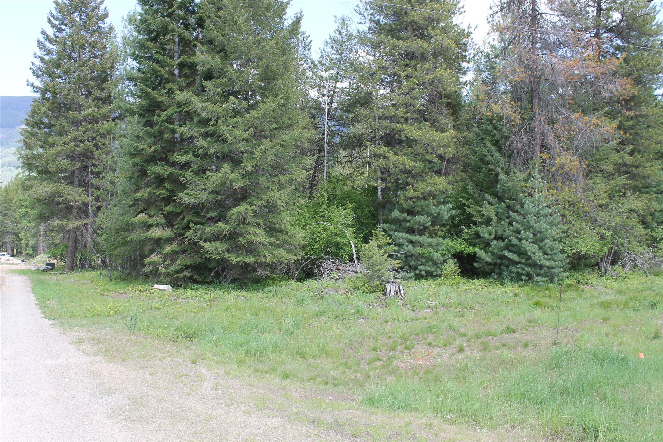 2773 Mt Highway 200 Property Photo 1