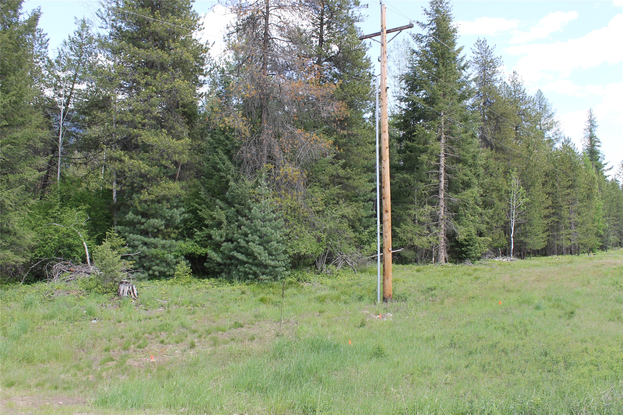 2773 Mt Highway 200 Property Photo 3