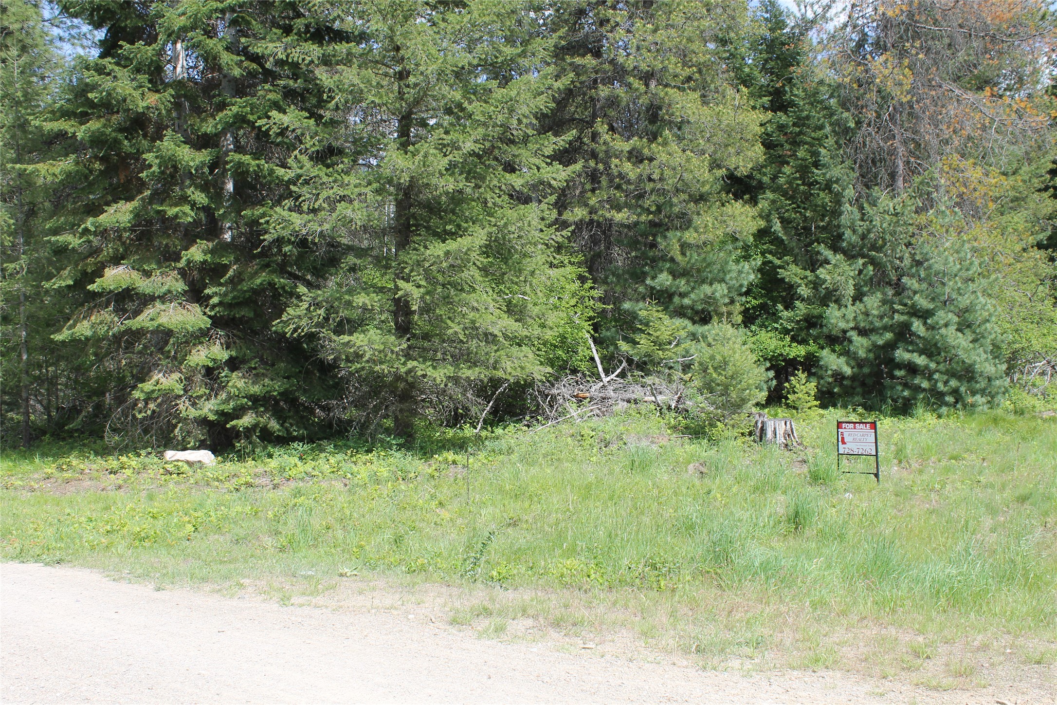 2773 Mt Highway 200 Property Photo 9