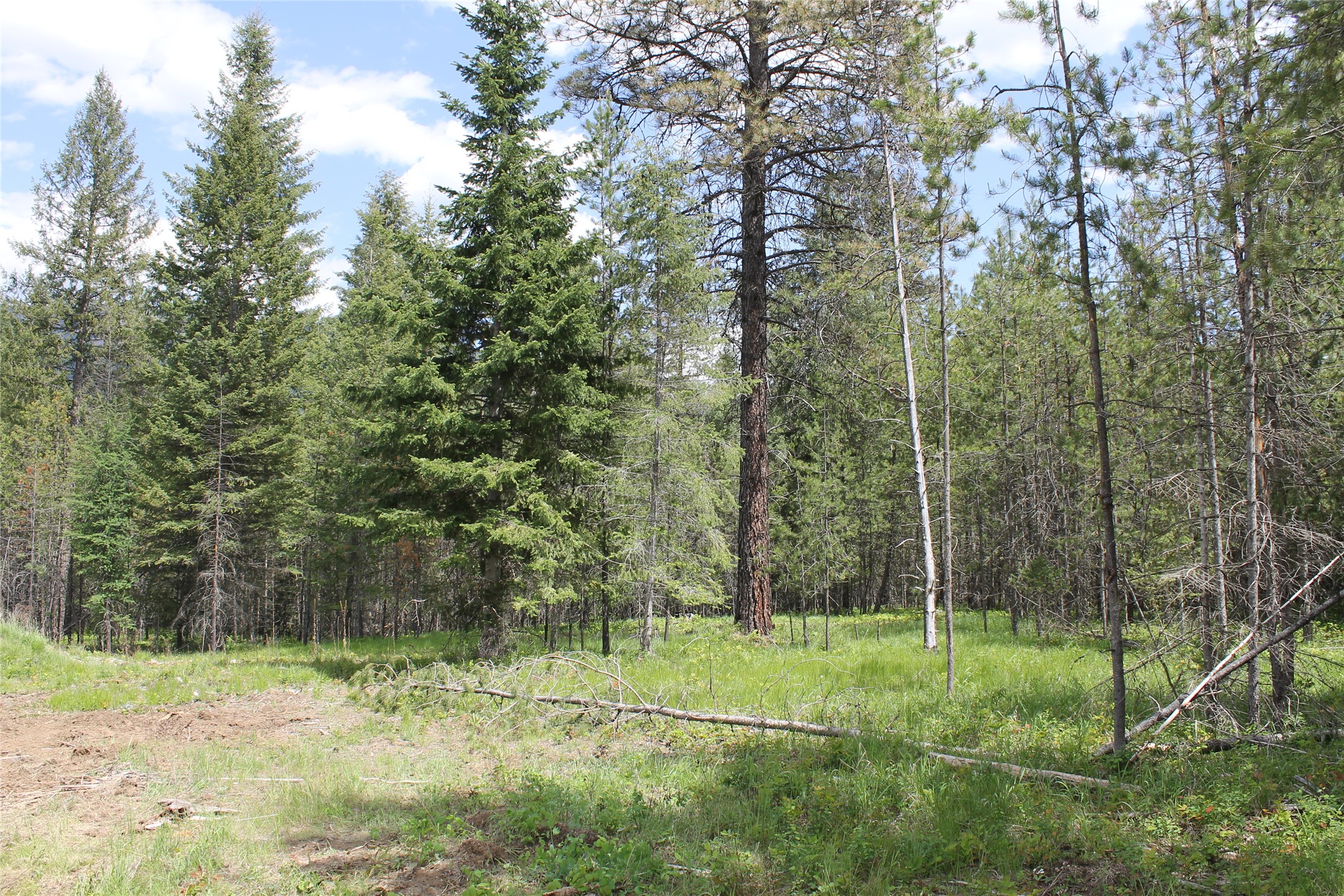 2773 Mt Highway 200 Property Photo 10