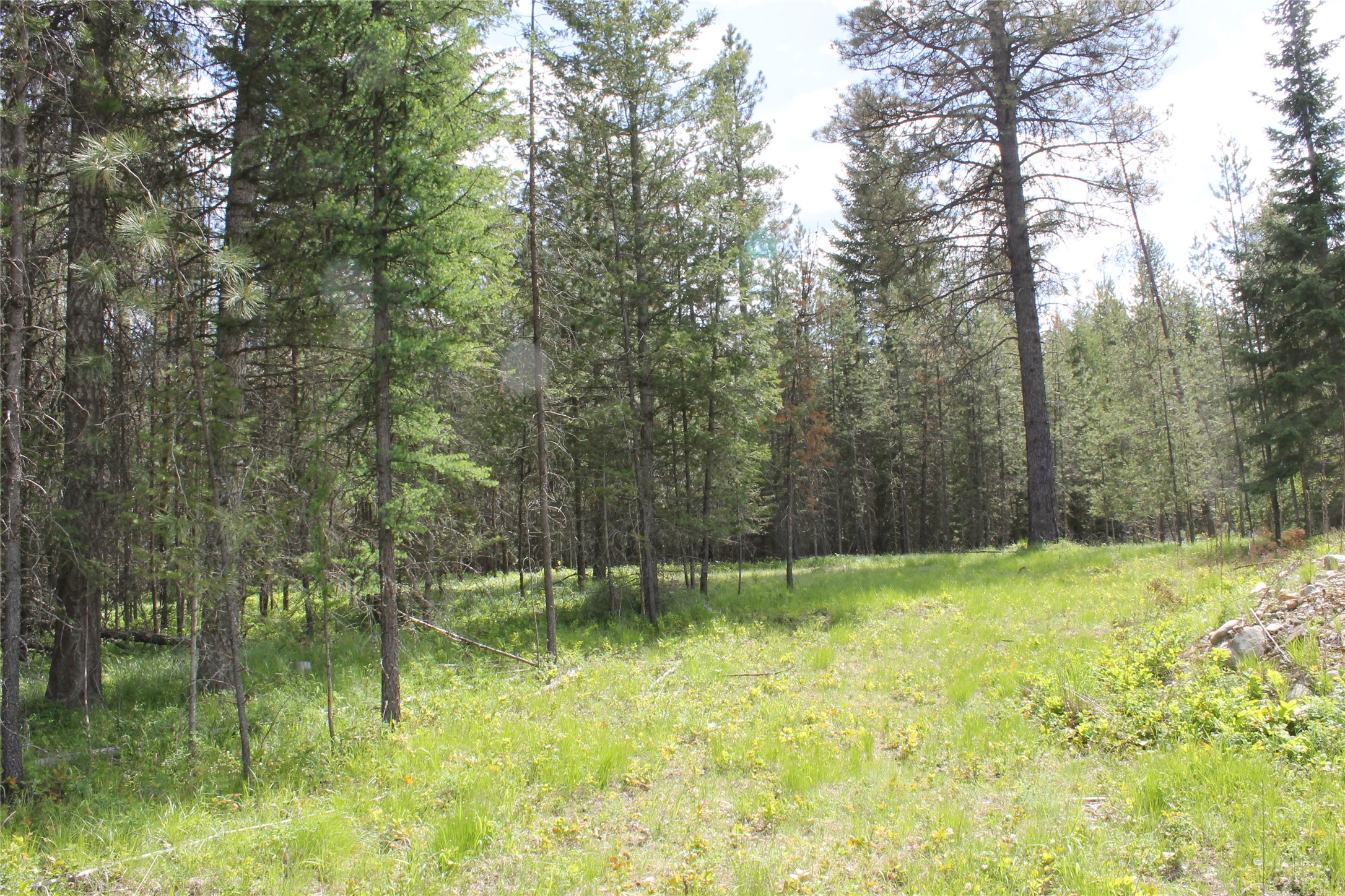 2773 Mt Highway 200 Property Photo 11