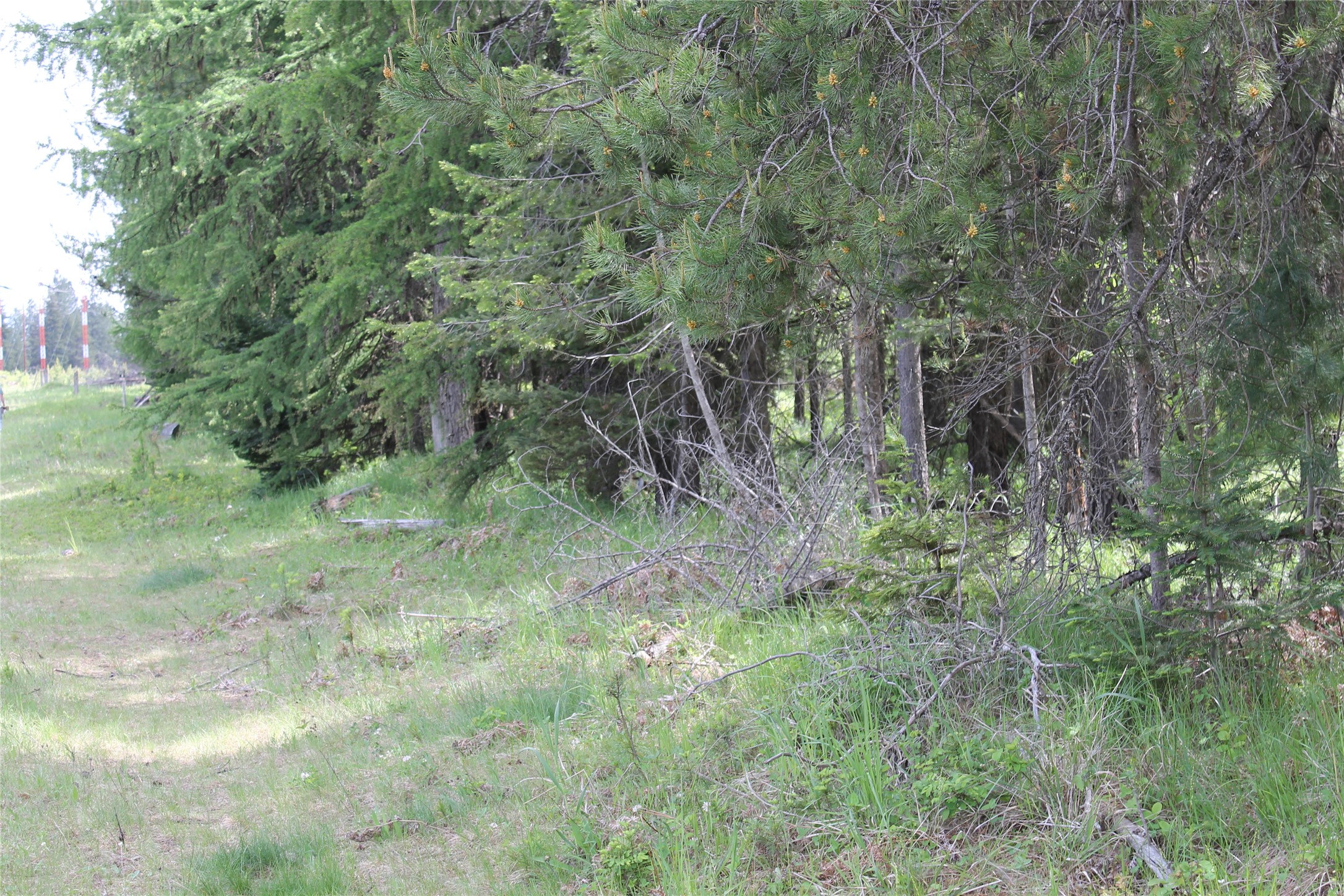 2773 Mt Highway 200 Property Photo 15