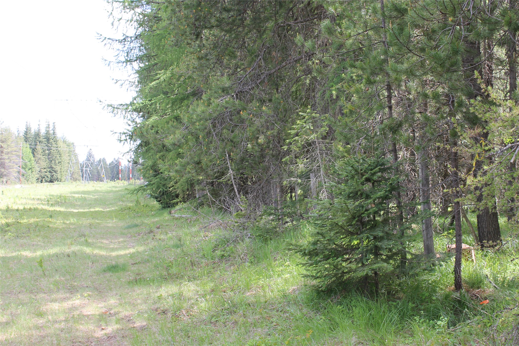 2773 Mt Highway 200 Property Photo 16