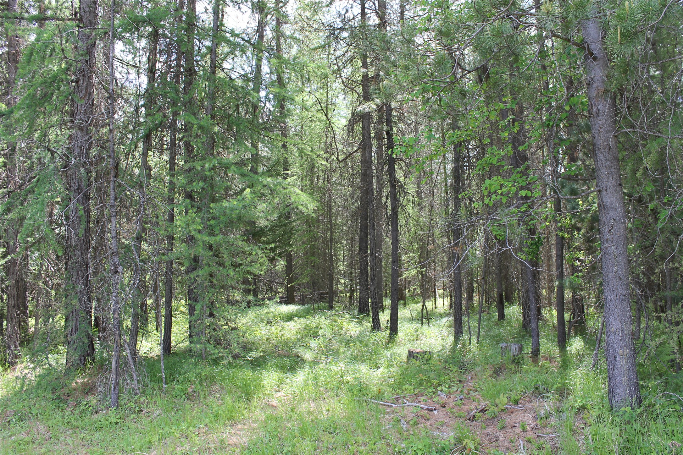 2773 Mt Highway 200 Property Photo 17