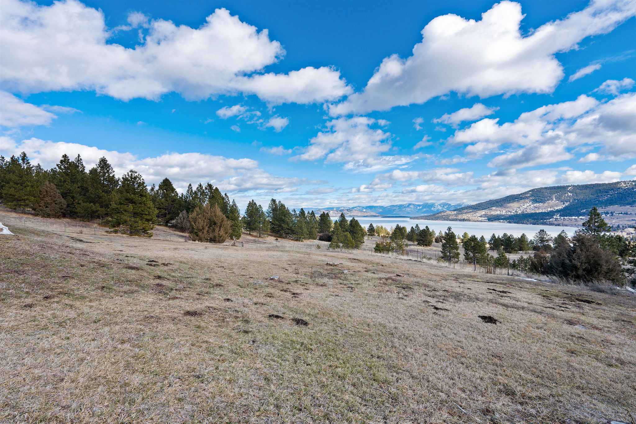 28118 Spring Lane Property Photo 41
