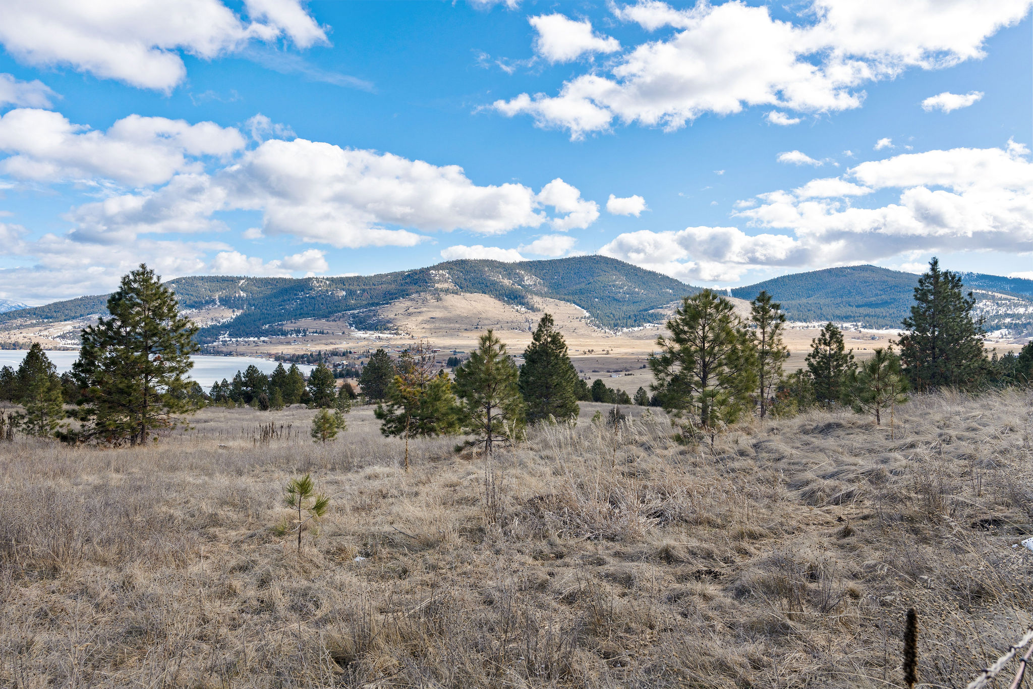 28118 Spring Lane Property Photo 42