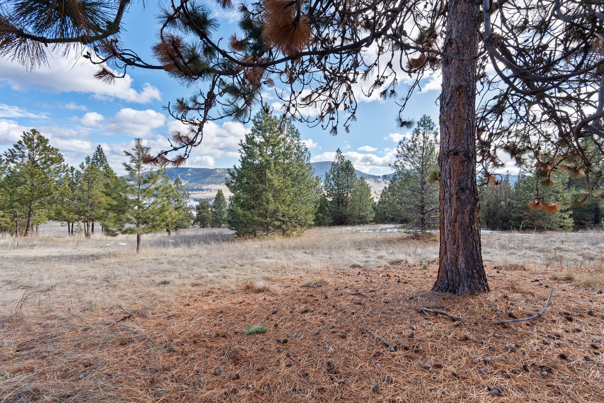 28118 Spring Lane Property Photo 44