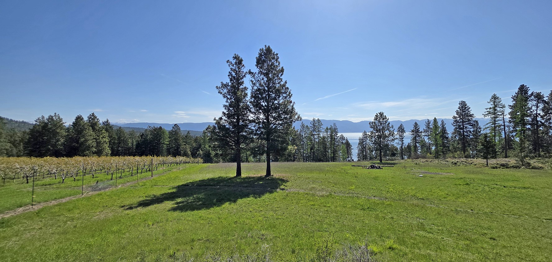 22756 Us Highway 93 Property Photo 1