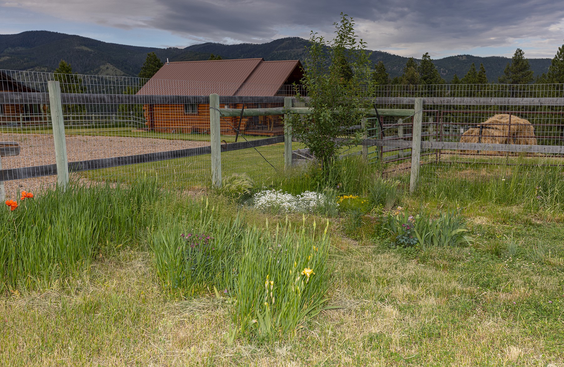 587 Cozy Lane Property Photo 49