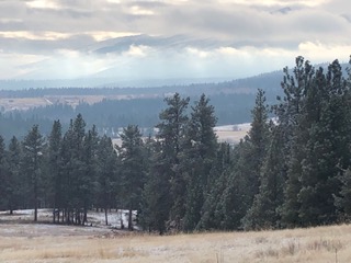 2770 Smith Creek Road Property Photo 13