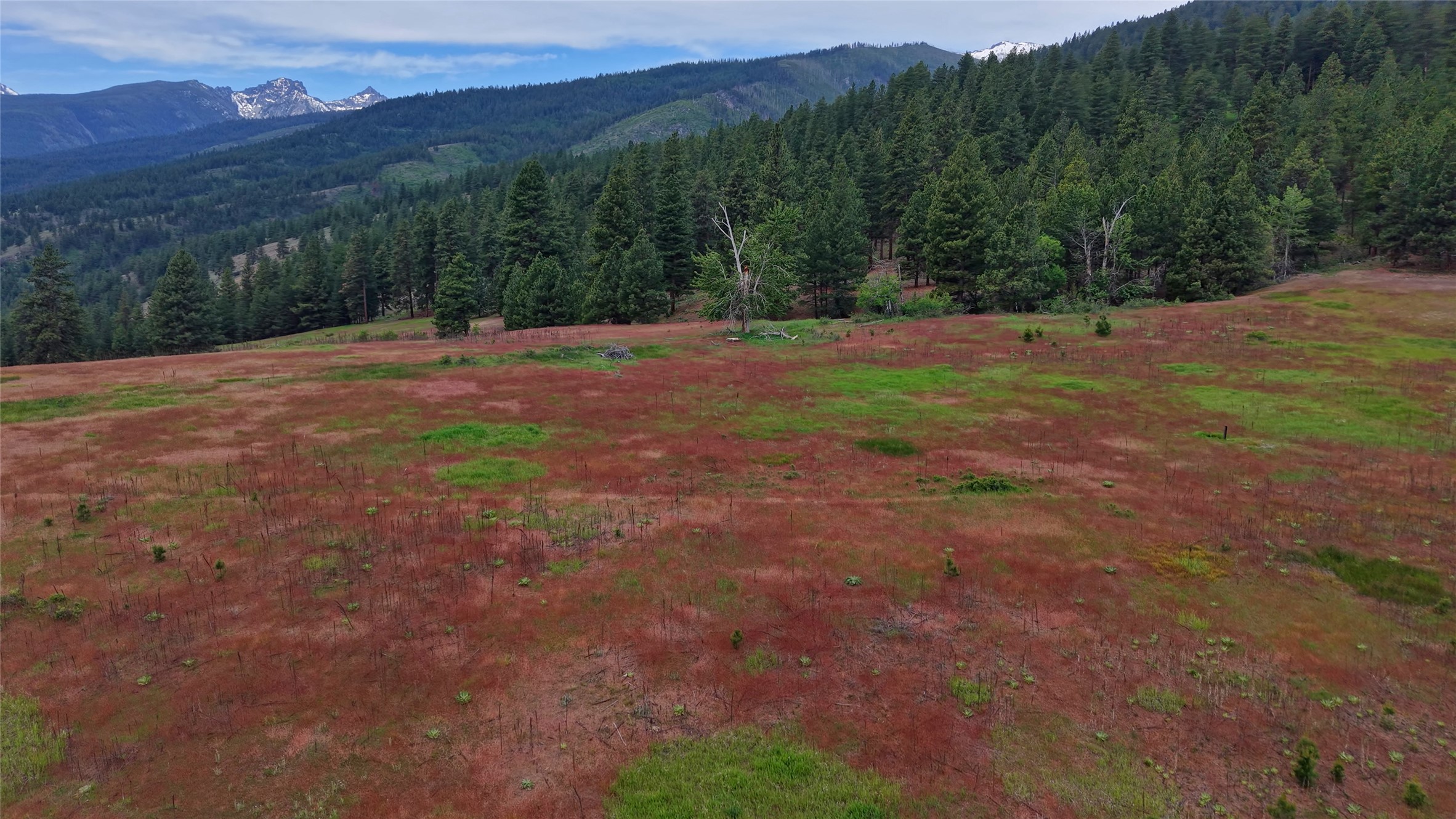 2770 Smith Creek Road Property Photo 16