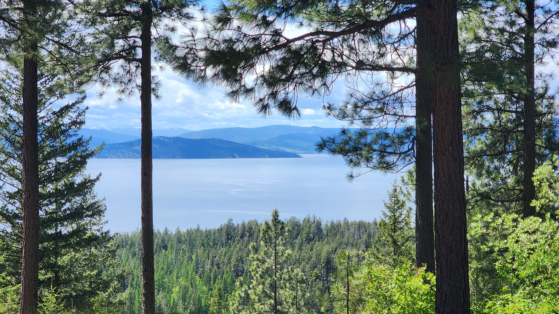 31683 Lake To Sky Drive Property Photo 2