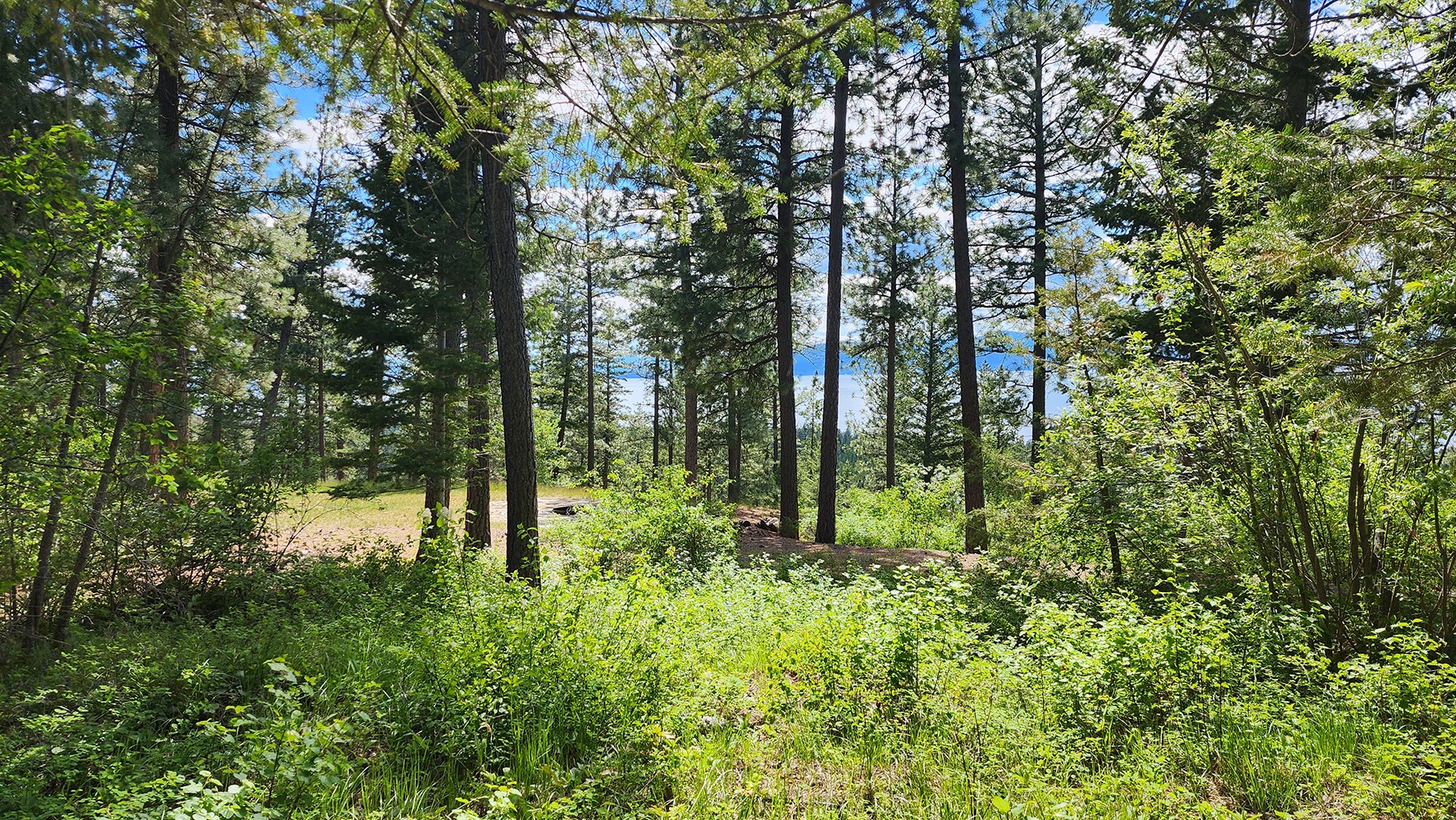 31683 Lake To Sky Drive Property Photo 24