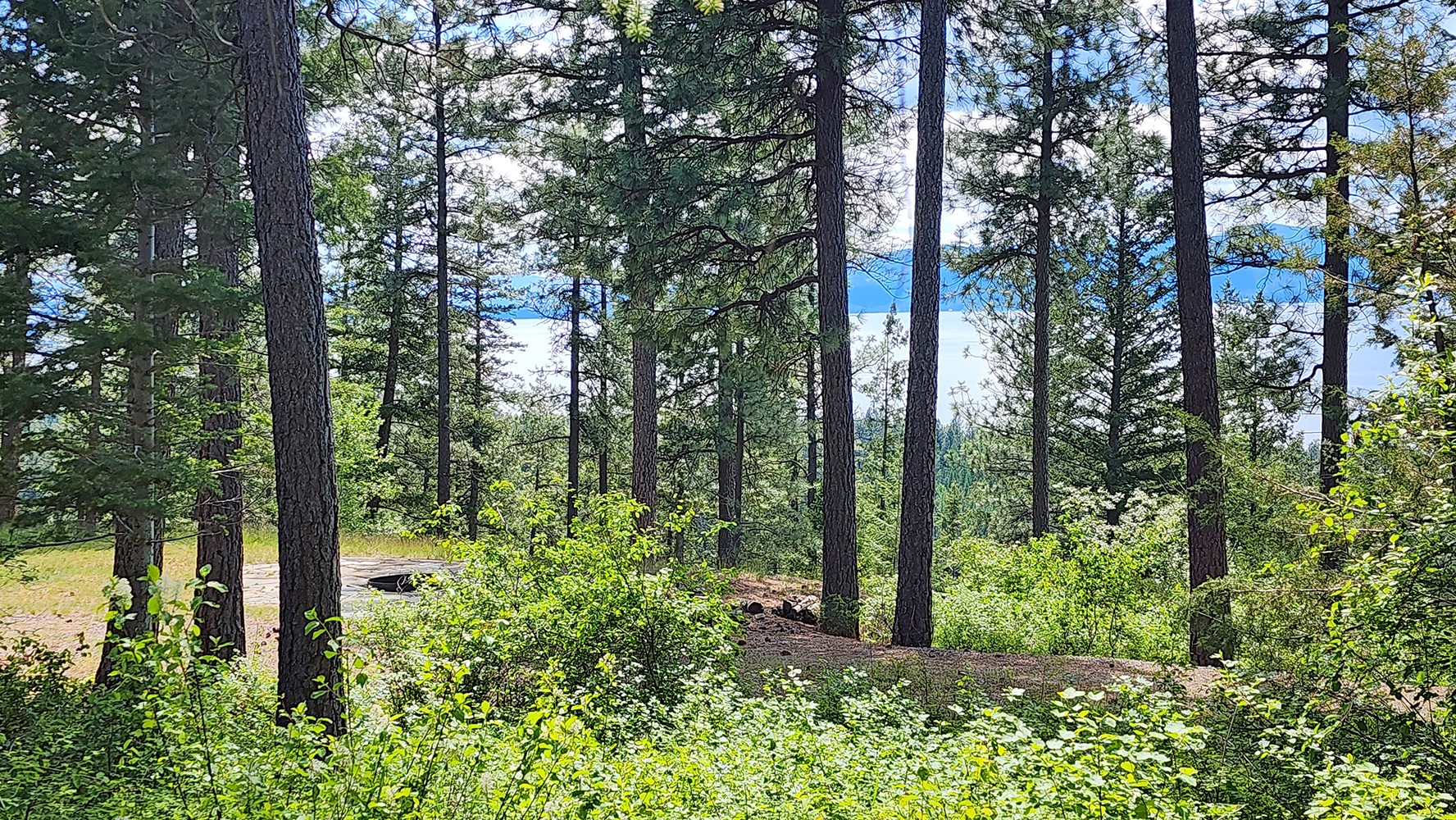 31683 Lake To Sky Drive Property Photo 26