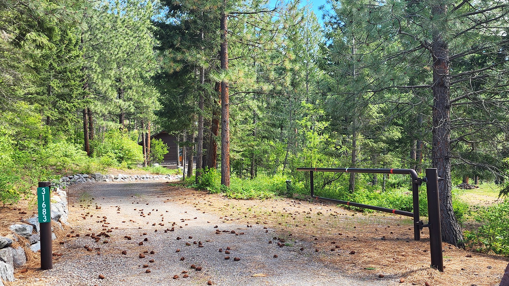 31683 Lake To Sky Drive Property Photo 27