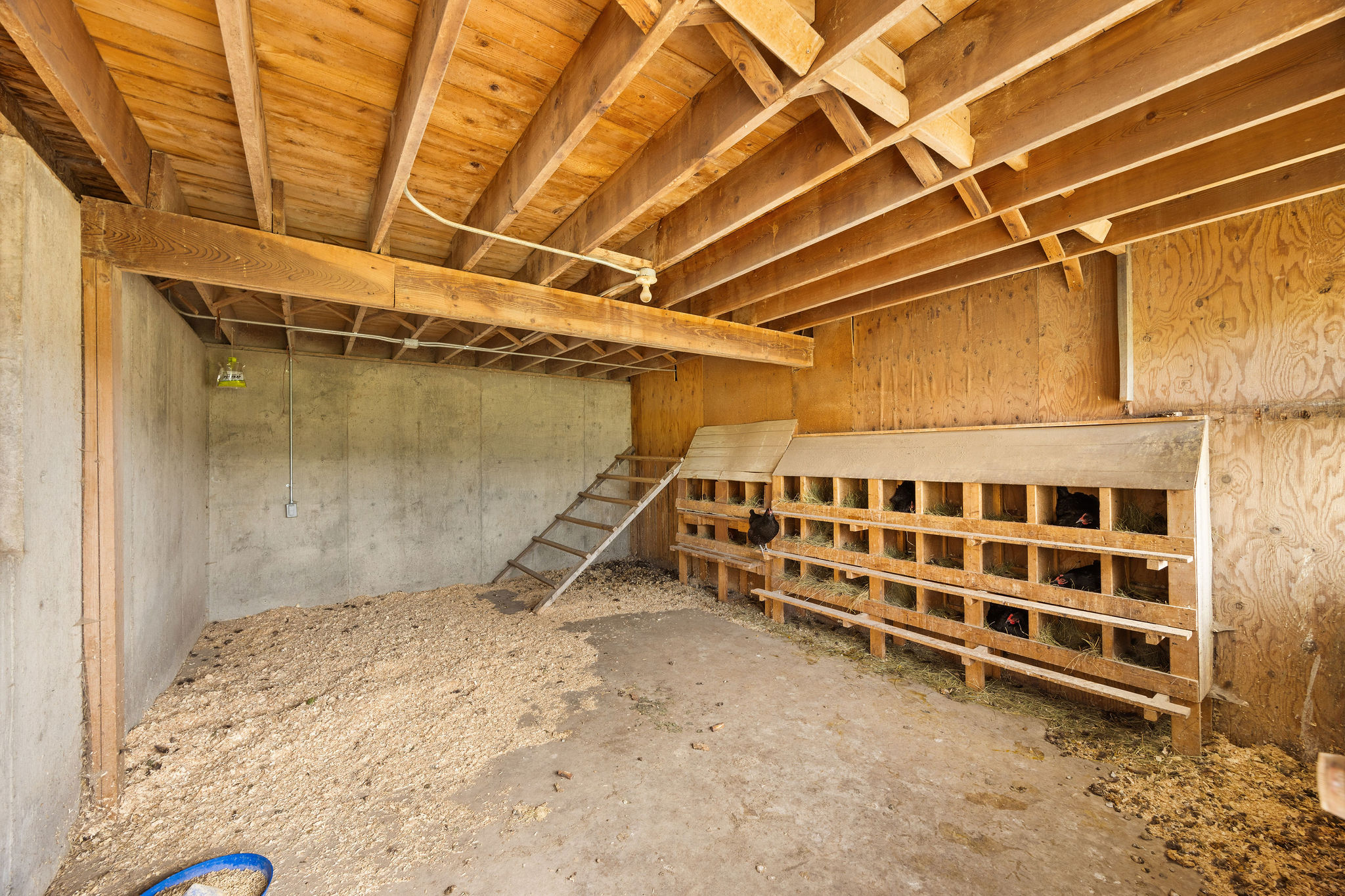 49 Whitetail Drive Property Photo 63
