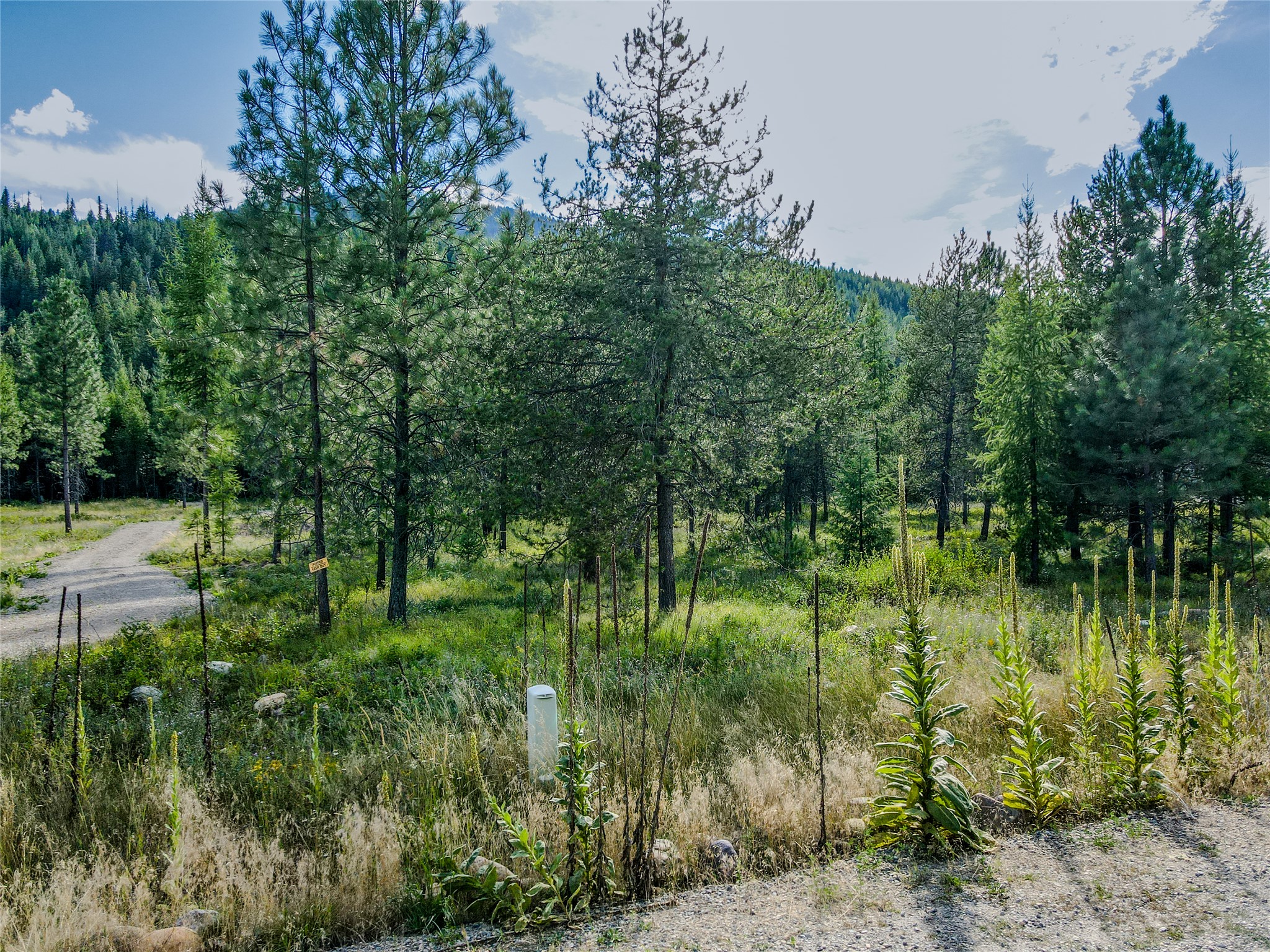 Nhn Little Bear Loop Property Photo 13