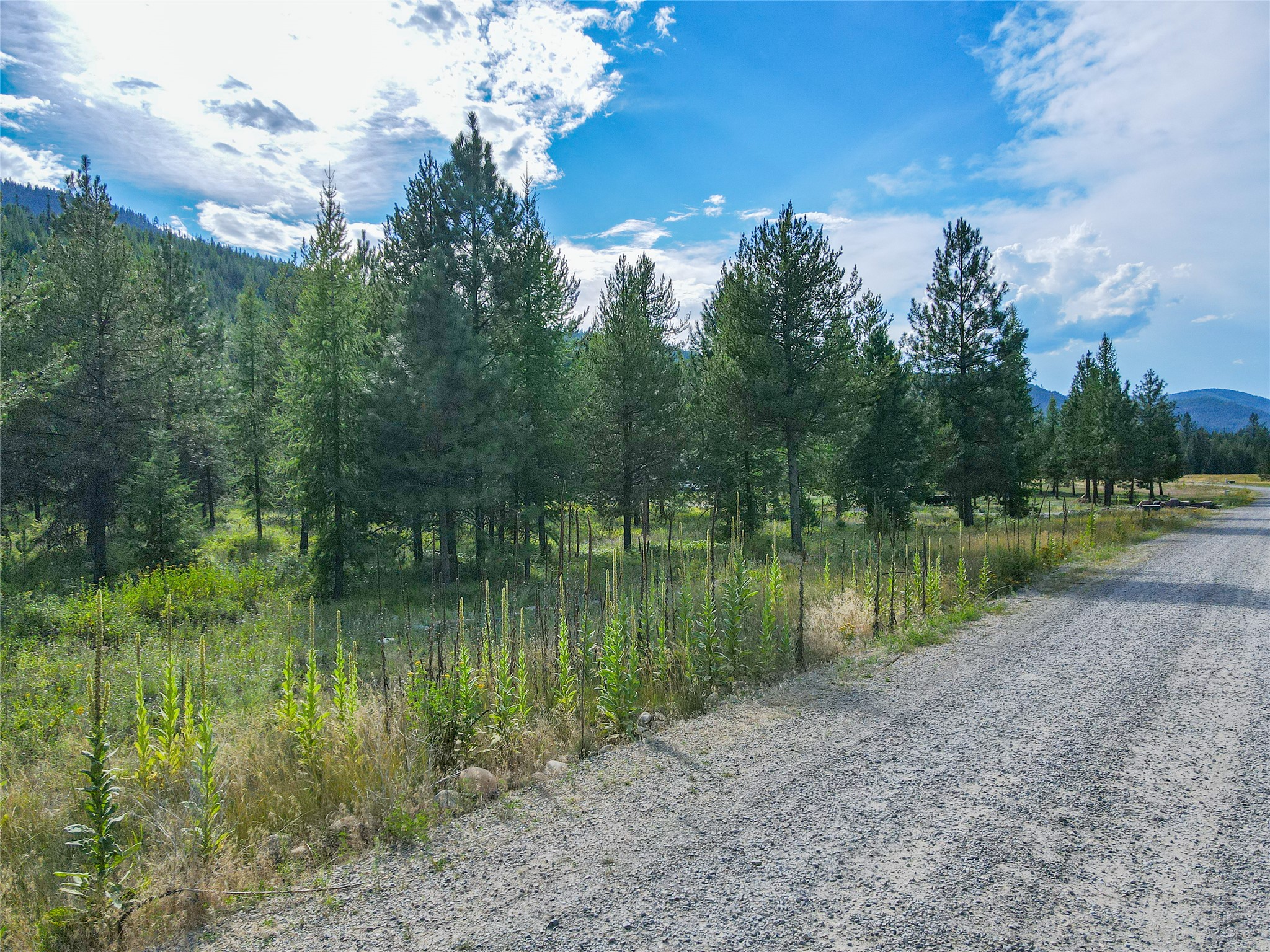 Nhn Little Bear Loop Property Photo 14