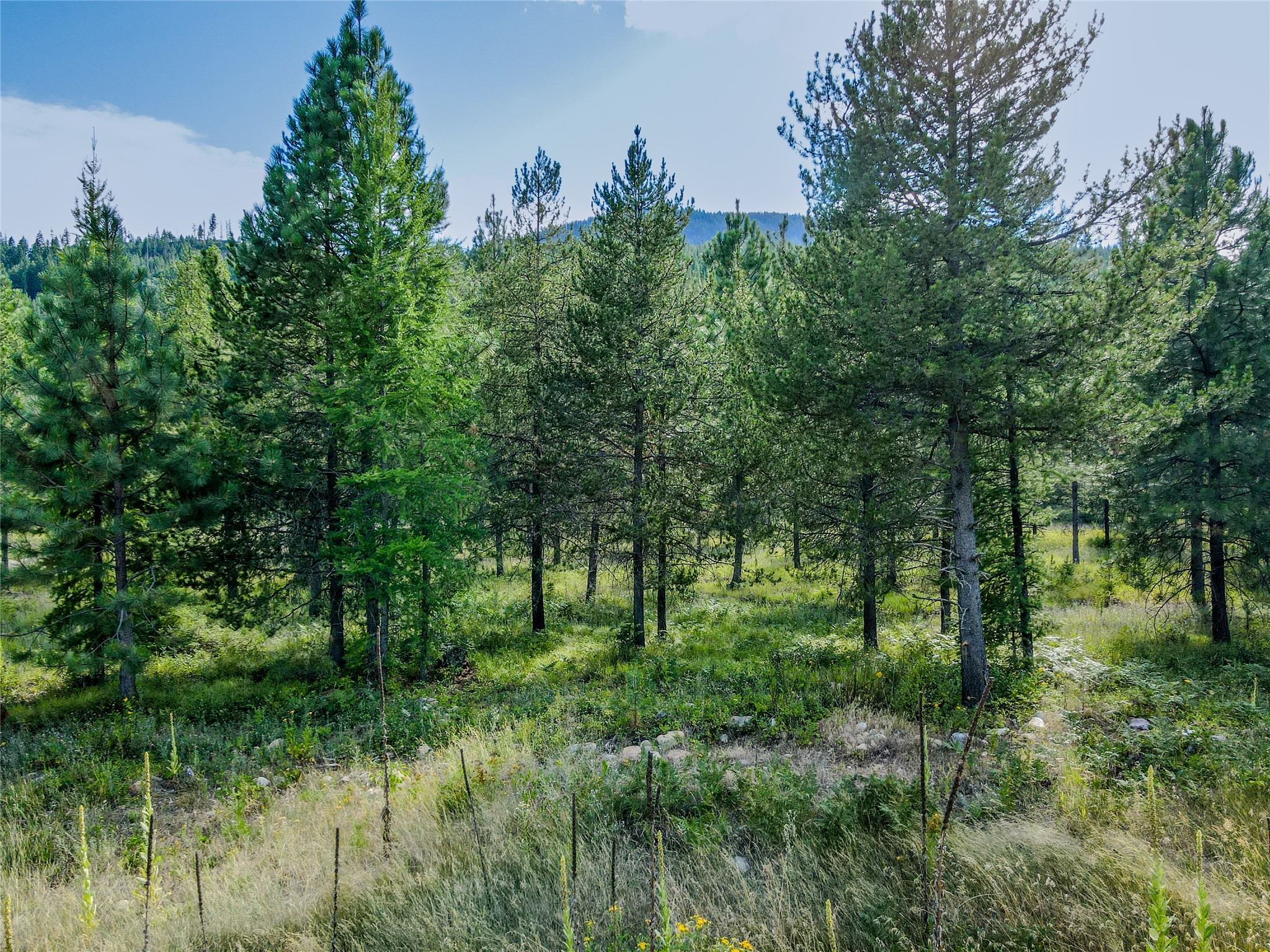 Nhn Little Bear Loop Property Photo 15