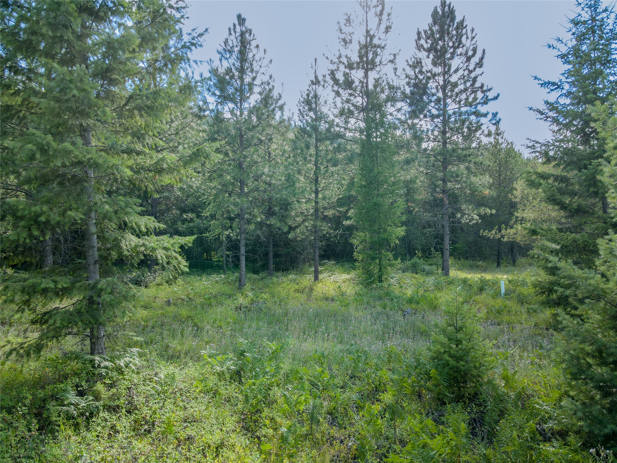 Nhn Little Bear Loop Property Photo 17