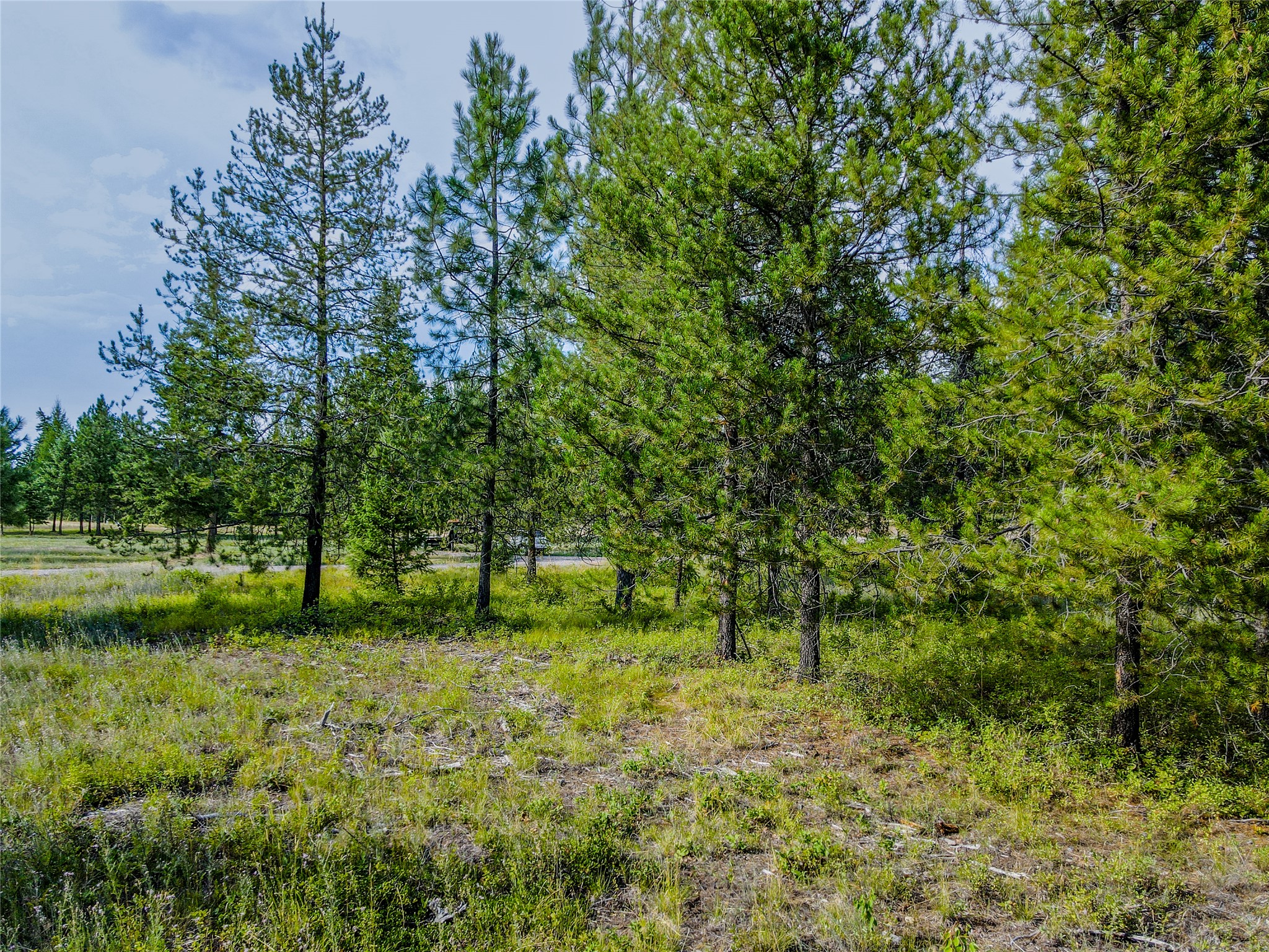 Nhn Little Bear Loop Property Photo 18