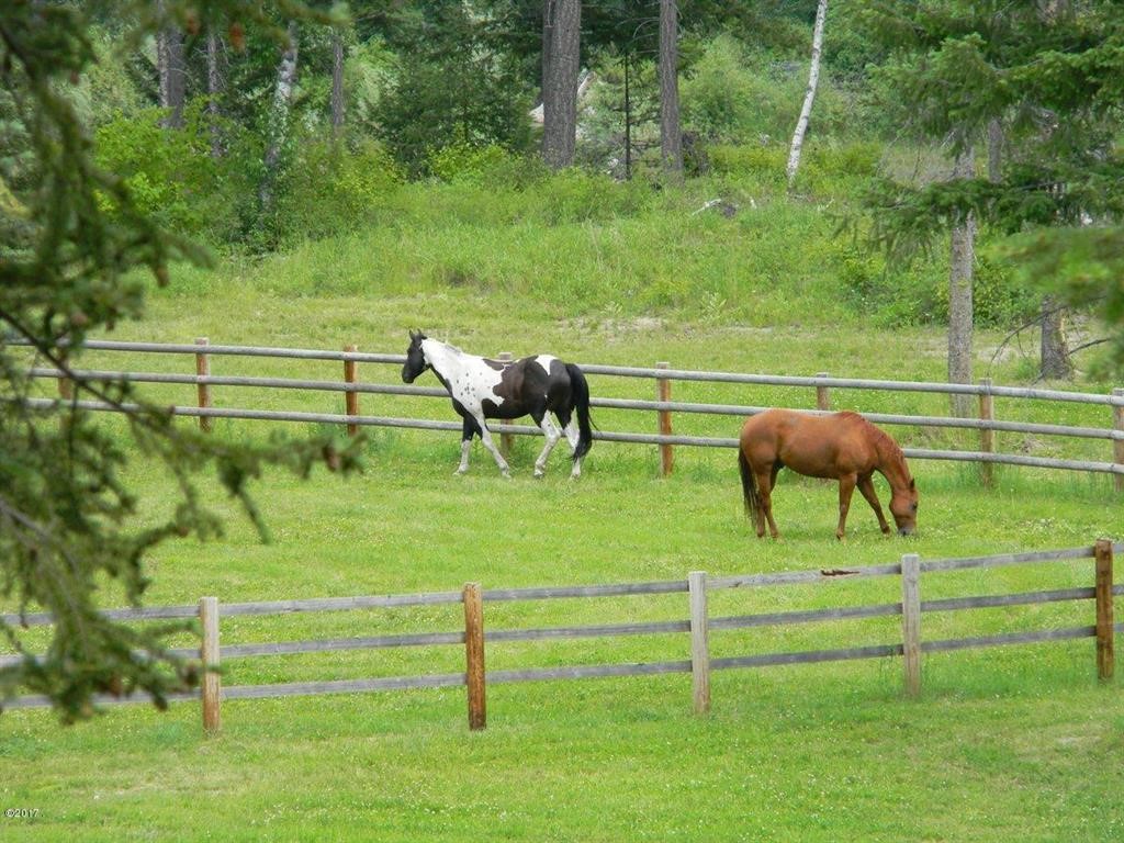 5379 Flathead Ranch Road Property Photo 22