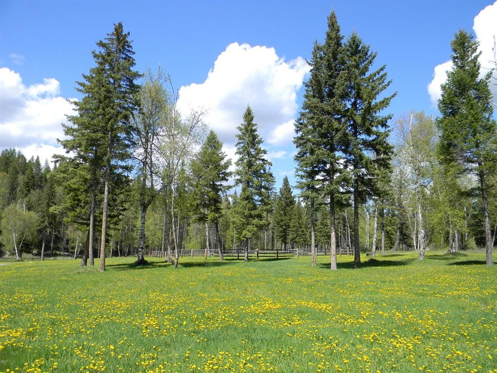 5379 Flathead Ranch Road Property Photo 27