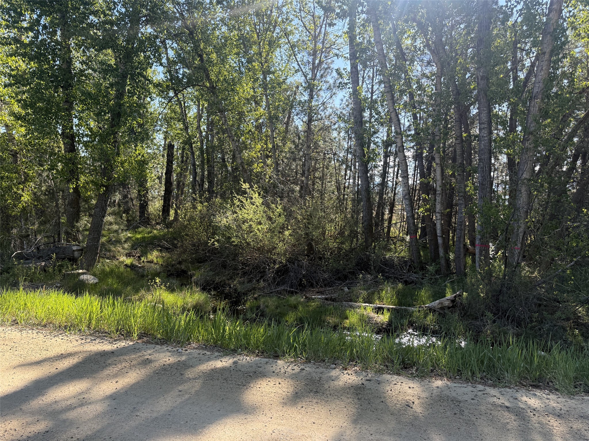 2021 Us Highway 93 N Property Photo 20