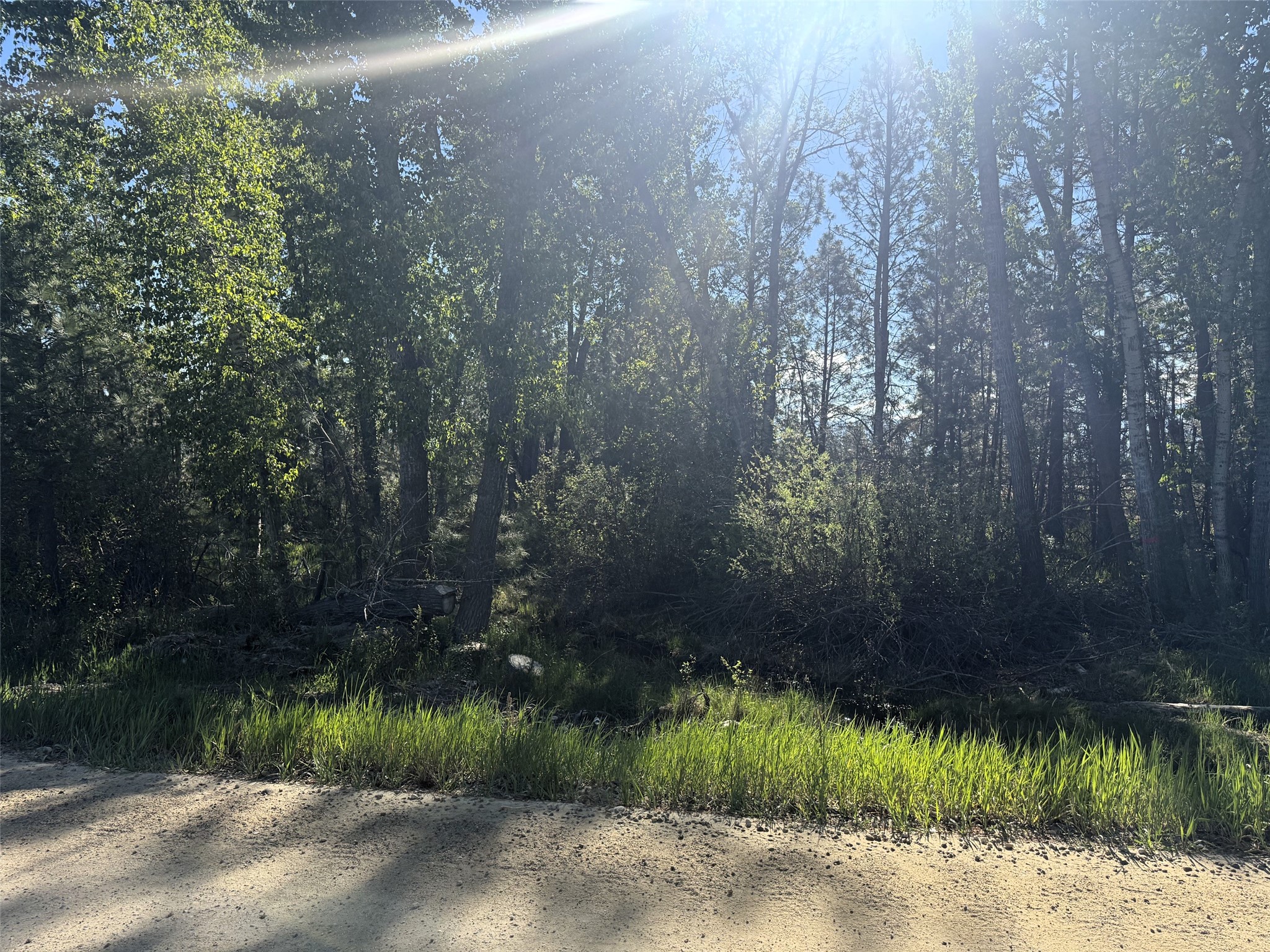 2021 Us Highway 93 N Property Photo 21