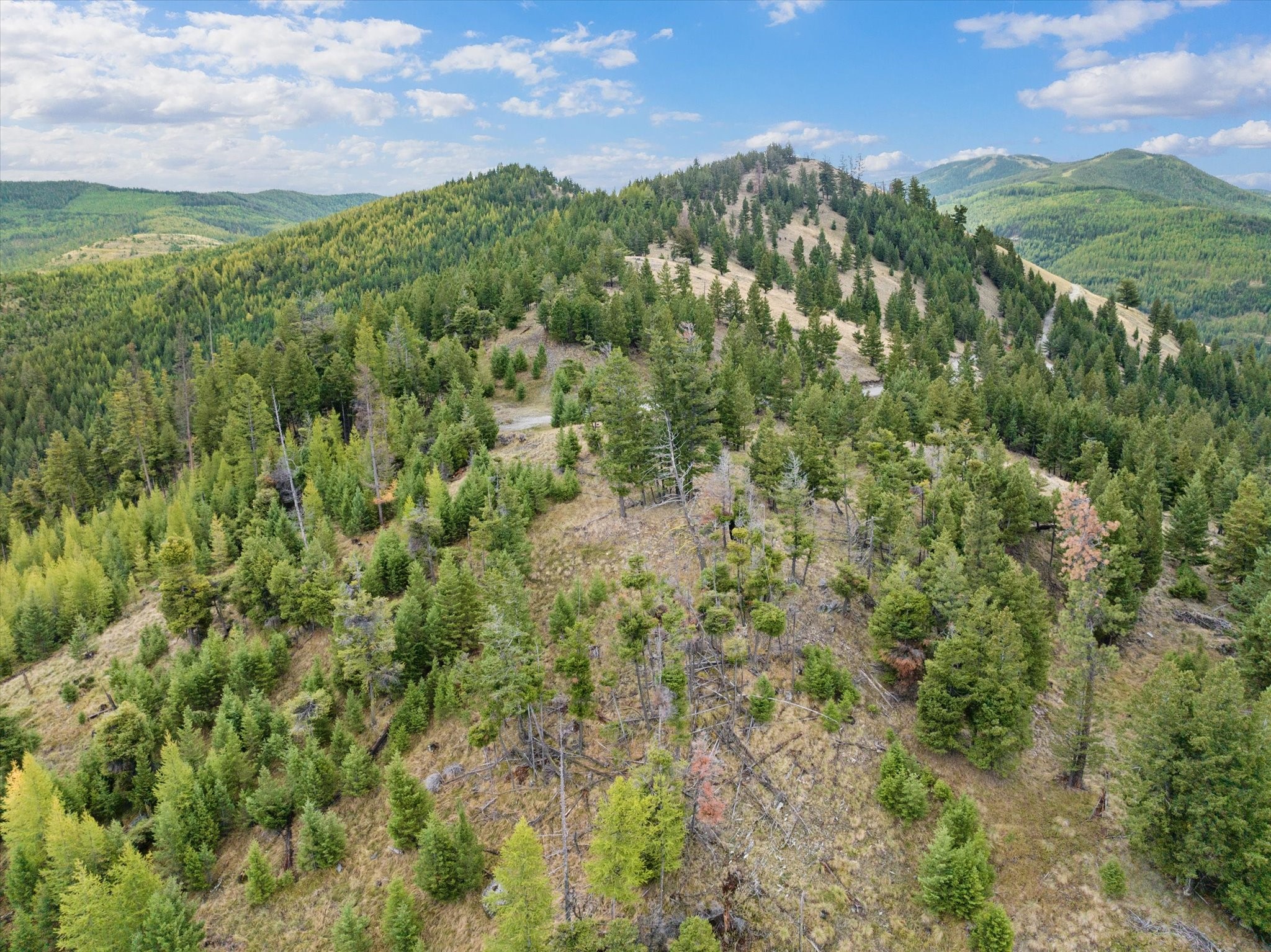 Tract 1 Wild Horse Trail Property Photo 5