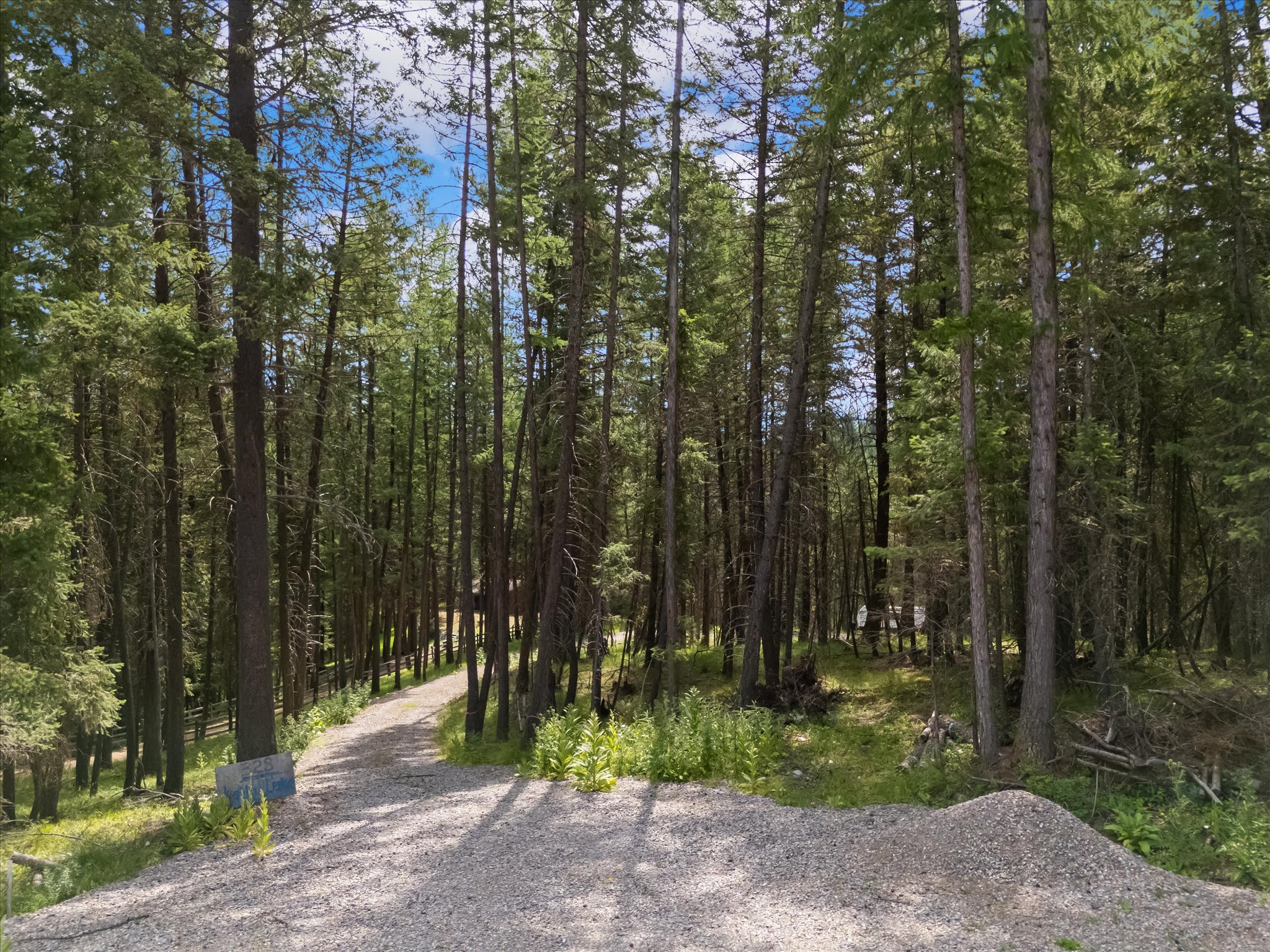 328 Kathy Lake Lane Property Photo 5