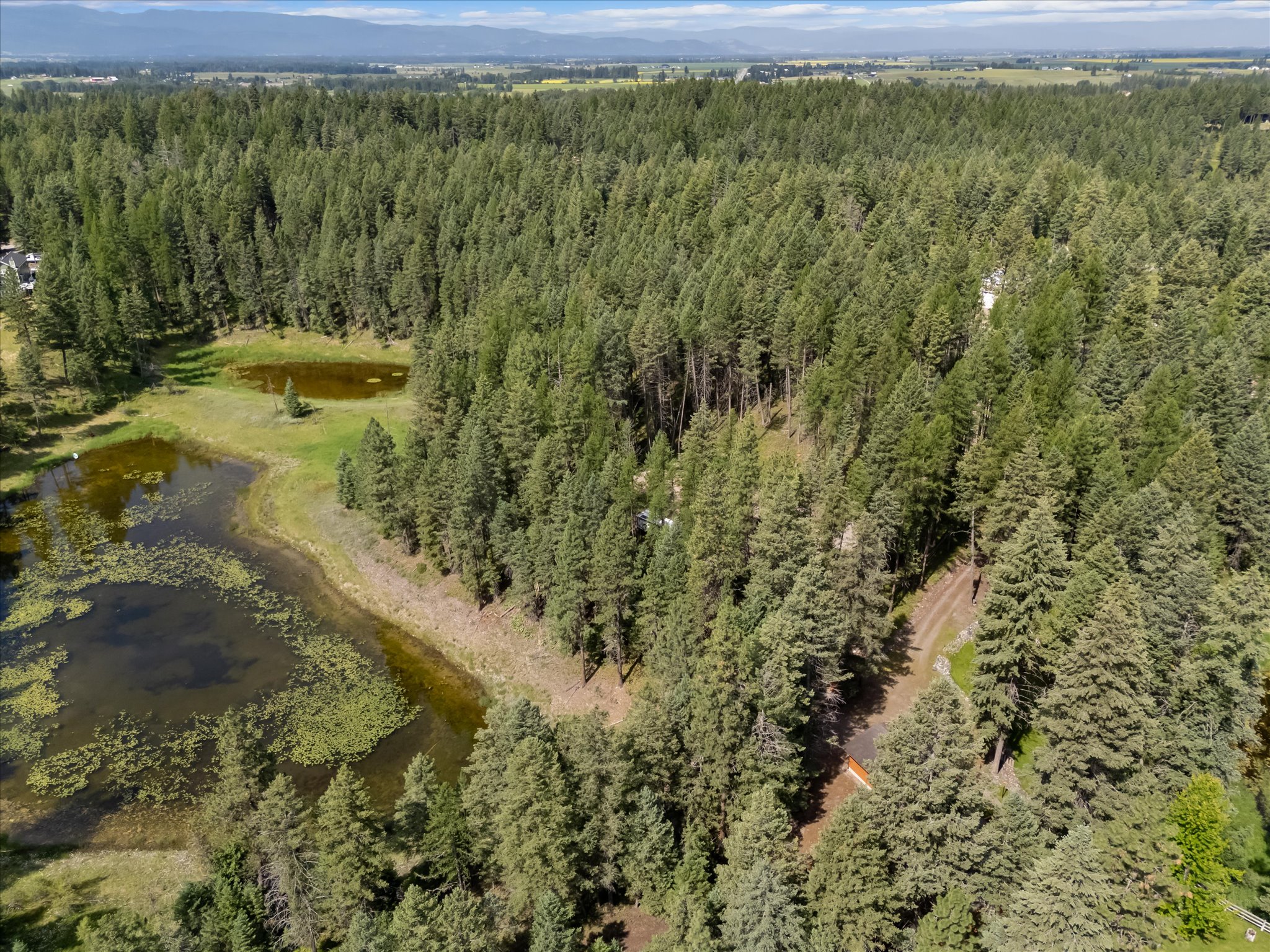 328 Kathy Lake Lane Property Photo 16