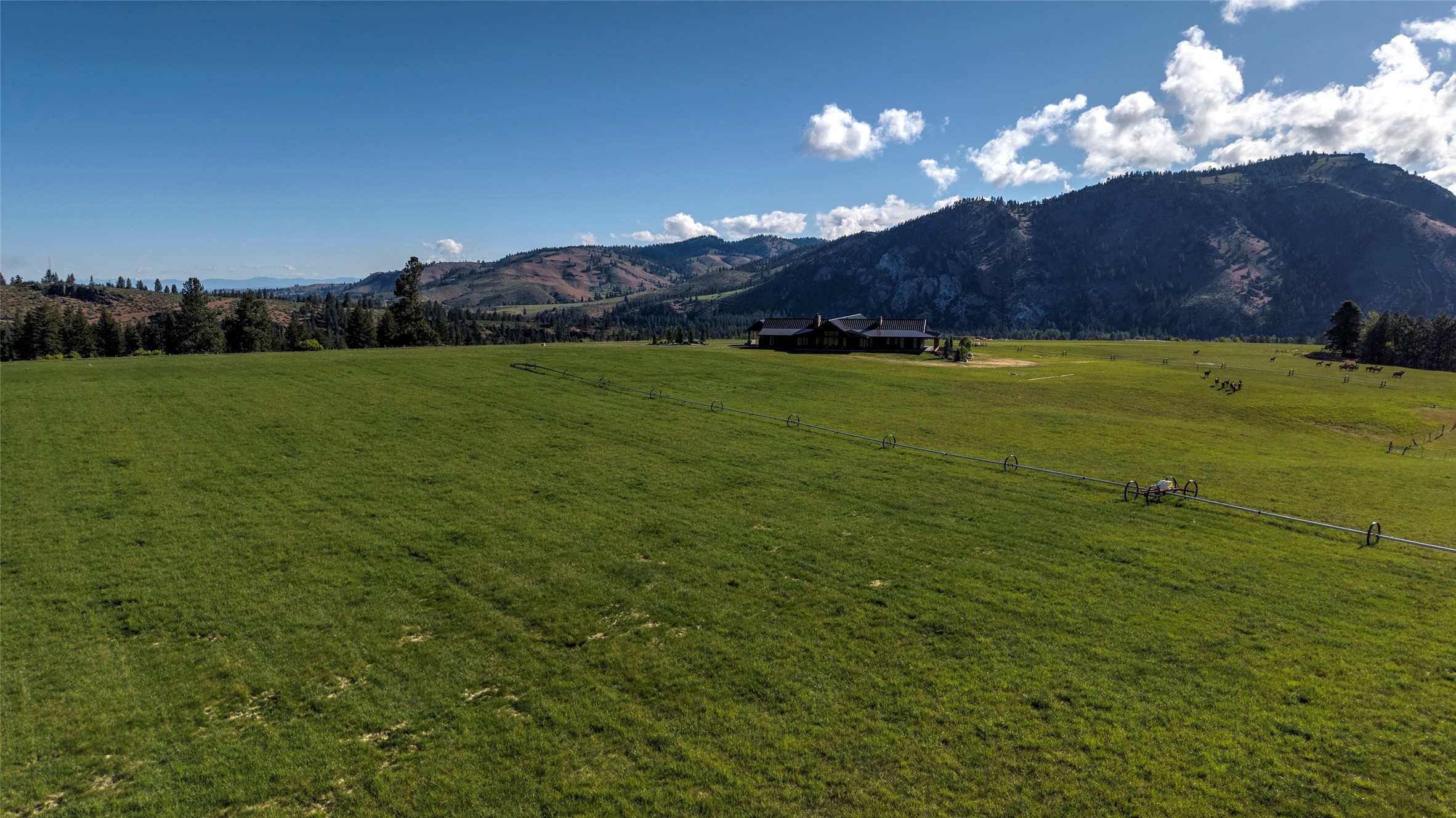 246 Coal Mine Road Property Photo 3