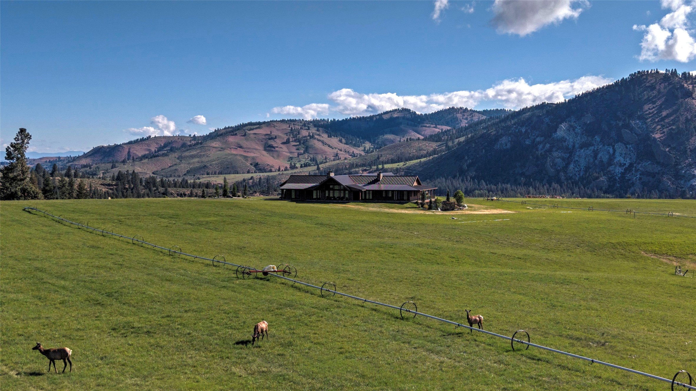 246 Coal Mine Road Property Photo 24