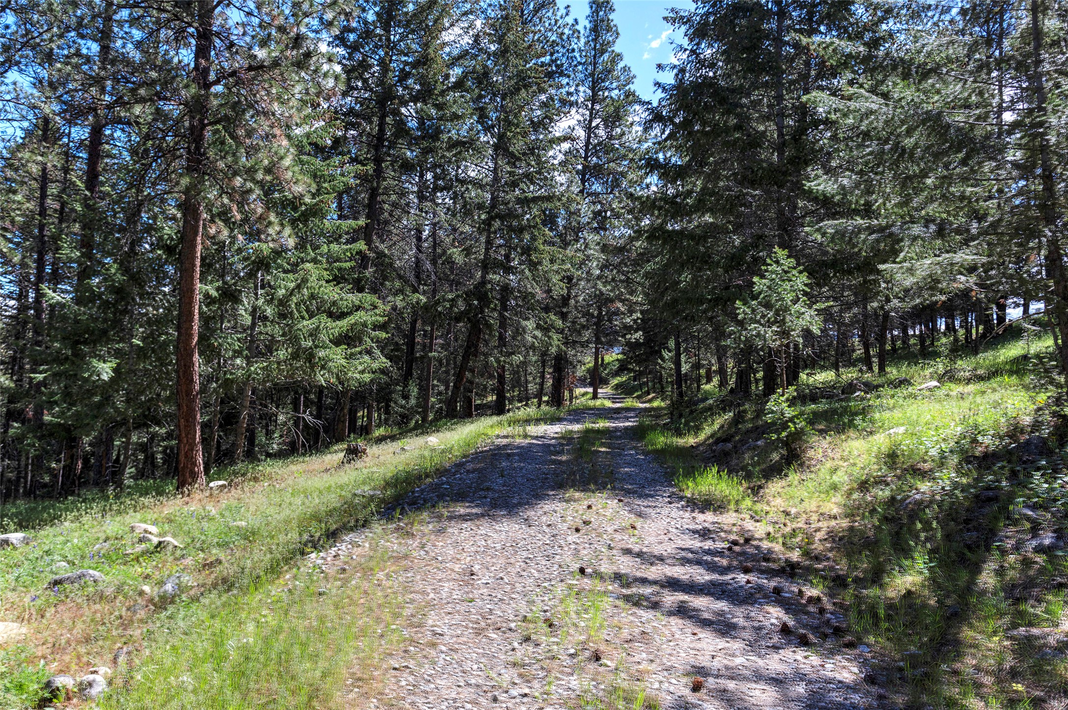 246 Coal Mine Road Property Photo 126
