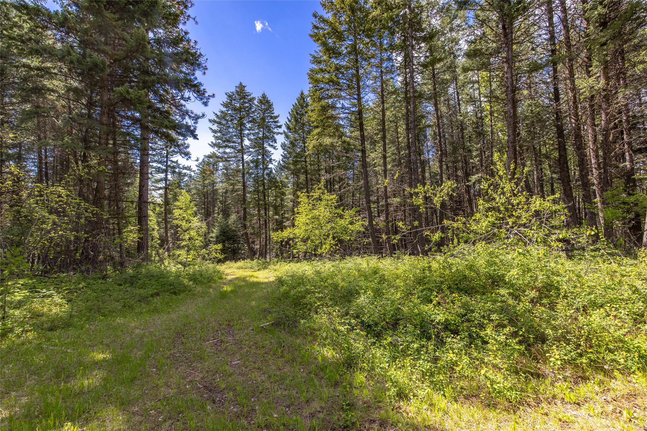 Nhn Red Hawk Drive Property Photo 10